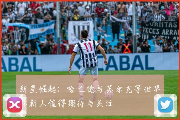新星崛起：哈兰德与苏尔克等世界杯新人值得期待与关注